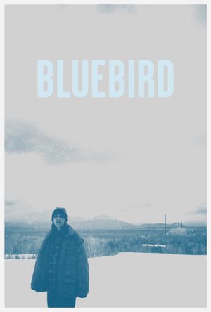 Bluebird's poster