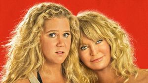 Snatched's poster