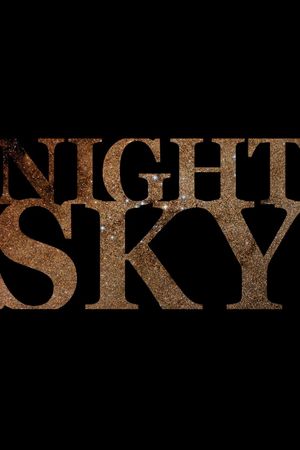 Night Sky's poster