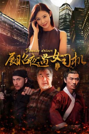 展昭夜遇女司机's poster