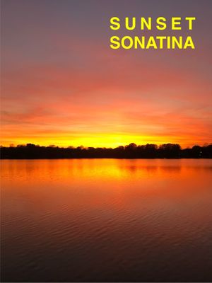 Sunset Sonatina's poster