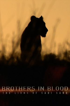 Brothers in Blood: The Lions of Sabi Sand's poster