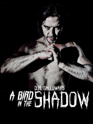 A Bird In The Shadow's poster