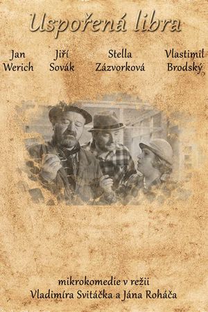 Uspořená libra's poster image