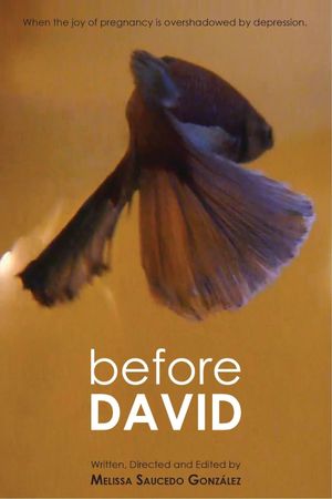 Before David's poster