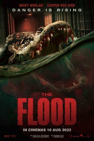 The Flood's poster