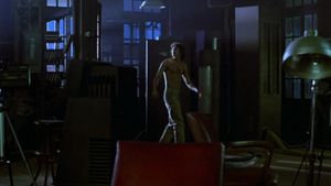 The Fly's poster