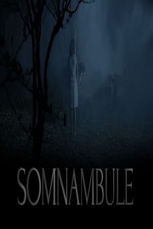 Somnambule's poster