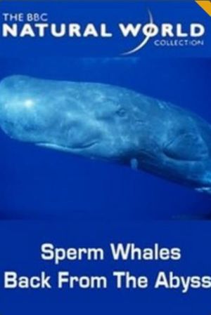 Sperm Whales: Back from the Abyss's poster