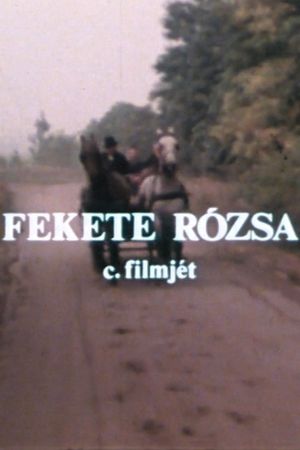 Fekete rózsa's poster