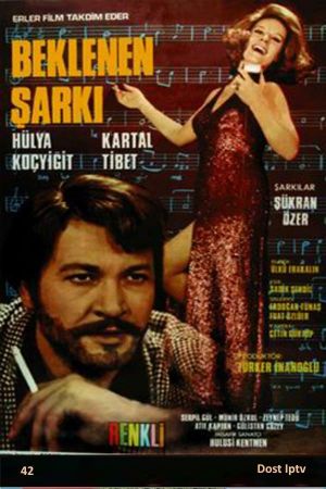 Beklenen Sarki's poster