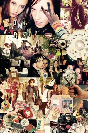 The Bling Ring's poster