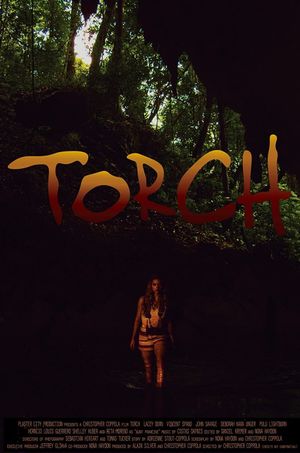 Torch's poster image