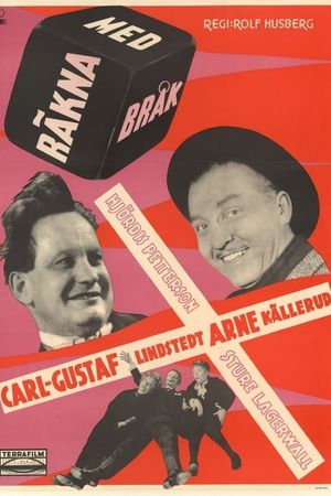 Räkna med bråk's poster image