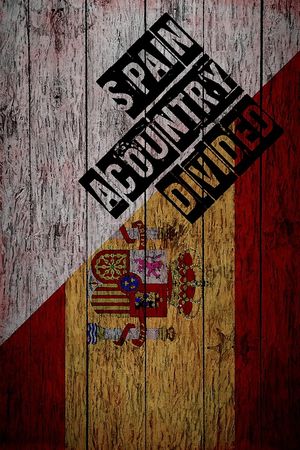 Spain: A Country Divided's poster