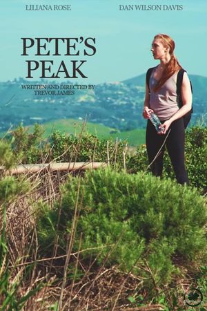 Pete's Peak's poster