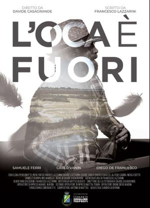 L'oca è fuori's poster image