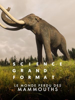 Le monde perdu des mammouths's poster