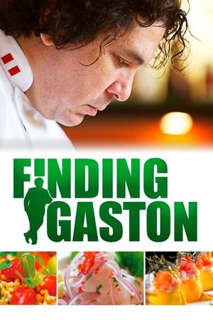 Finding Gaston's poster image