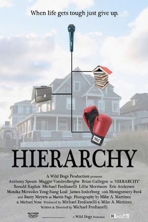 Hierarchy's poster