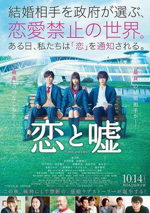 Love and Lies's poster