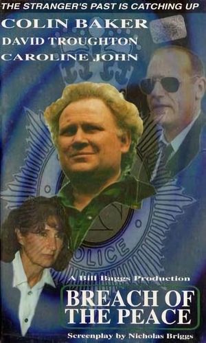 The Stranger: Breach of the Peace's poster