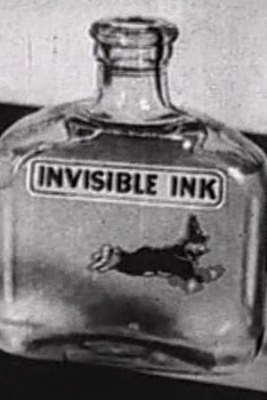 Invisible Ink's poster