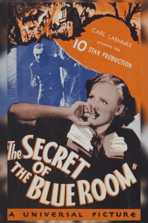 Secret of the Blue Room's poster