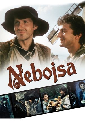 Nebojsa's poster