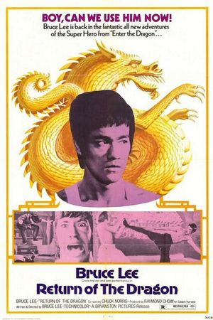 The Way of the Dragon's poster
