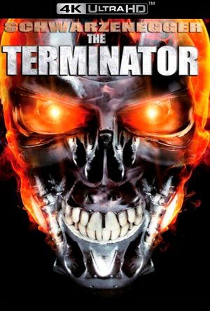 The Terminator's poster