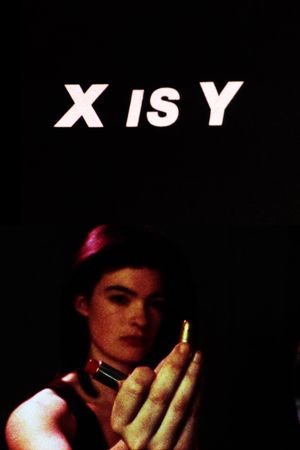 X Is Y's poster