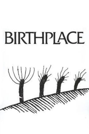 Birthplace's poster