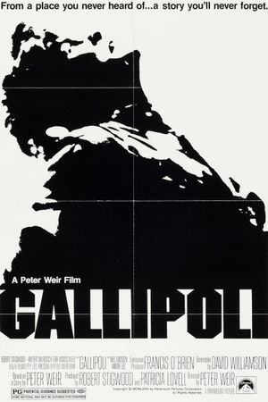 Gallipoli's poster
