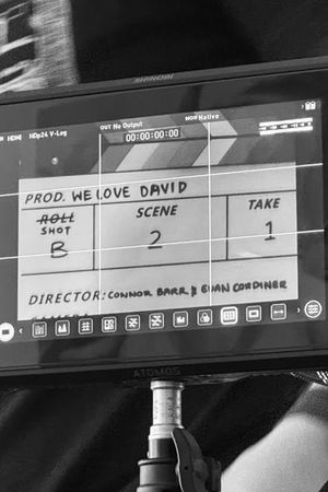 We Love David's poster