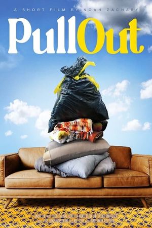 Pull Out's poster