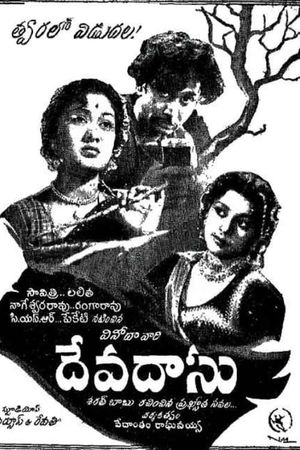Devadasu's poster