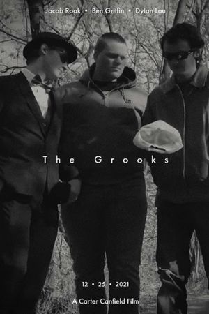 The Grooks's poster