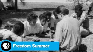 Freedom Summer's poster