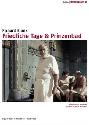 Prinzenbad's poster