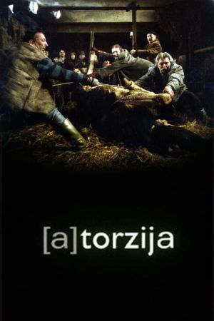 (A)Torsion's poster