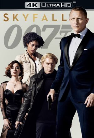 Skyfall's poster