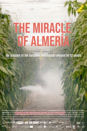 The Miracle of Almería's poster