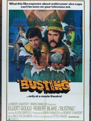 Busting's poster