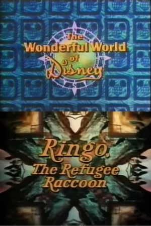 Ringo, the Refugee Raccoon's poster
