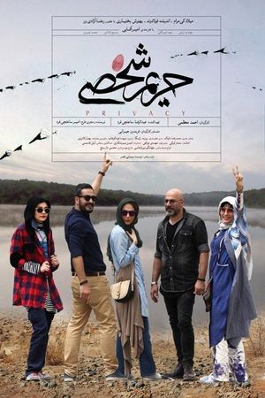 Privacy's poster