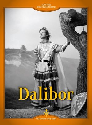 Dalibor's poster