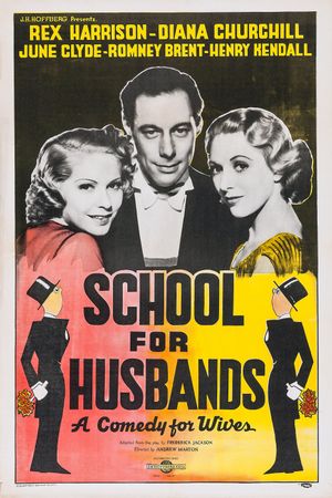 School for Husbands's poster