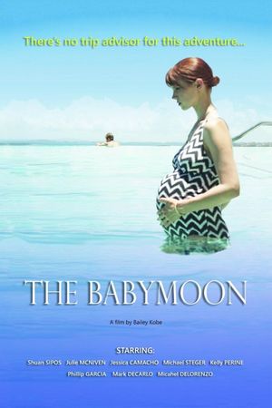 The Babymoon's poster