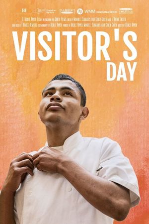 Visitor's Day's poster